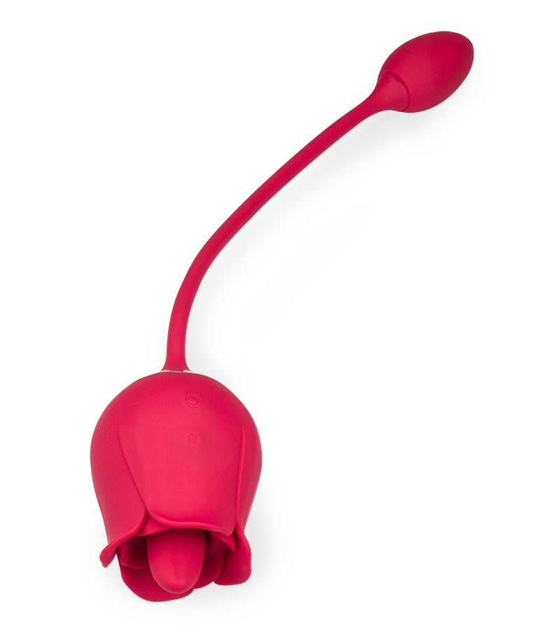 Blooming clit stimulator and love egg
