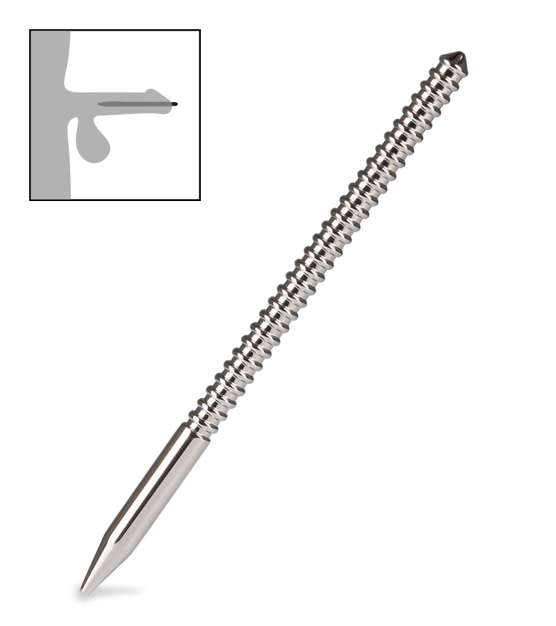 Penny urethral plug