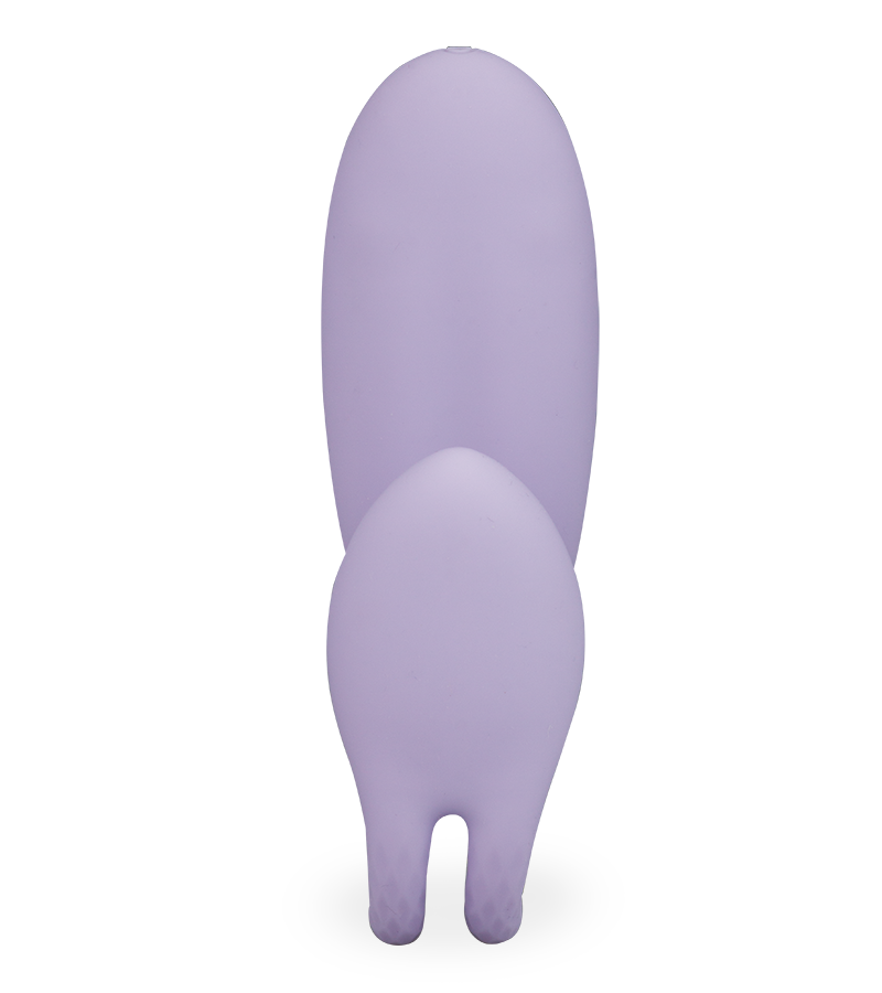 Sharing remote-controlled couples&#039; vibrator